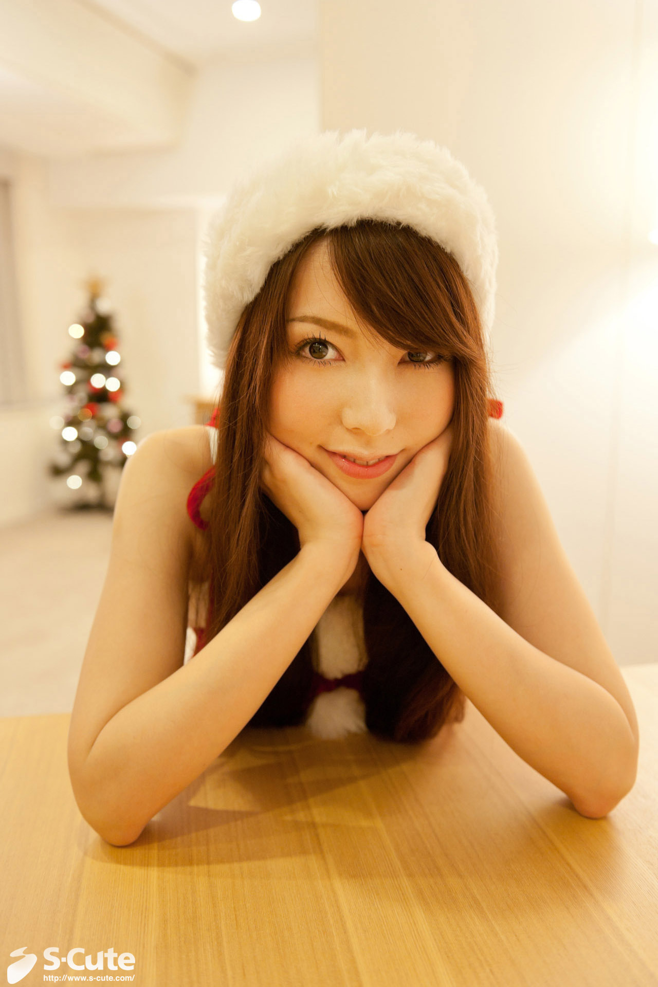 A Christmas Photo gift [S-Cute] No.247 no.249